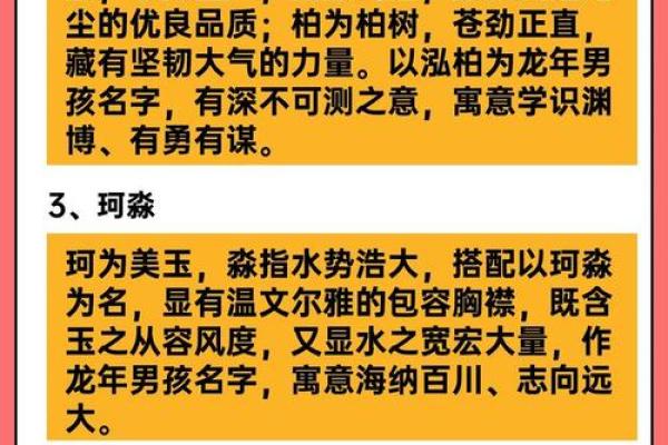 2024年龙年：命理解析与运势提升指南