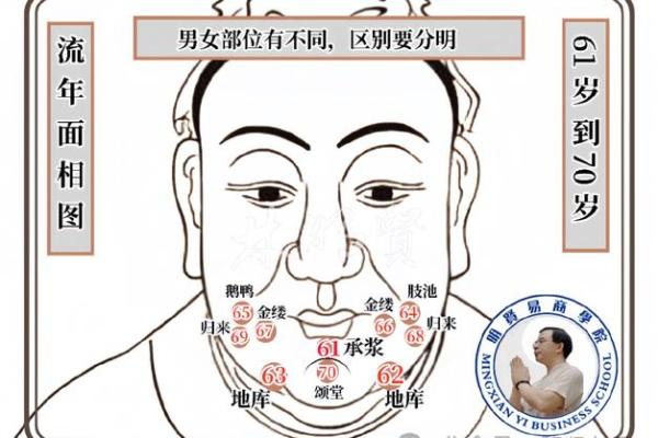2024年龙年：命理解析与运势提升指南