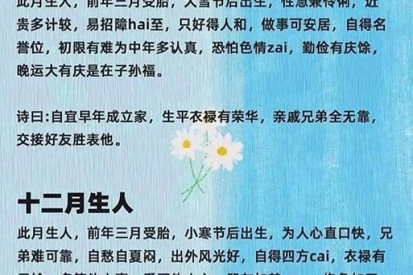 阴历23日出生的人命运解析：揭开神秘面纱，了解你的运势与性格