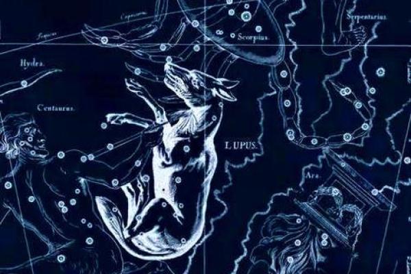 紫微贪狼入命：揭秘命理中神秘的紫微星及贪狼星的影响力