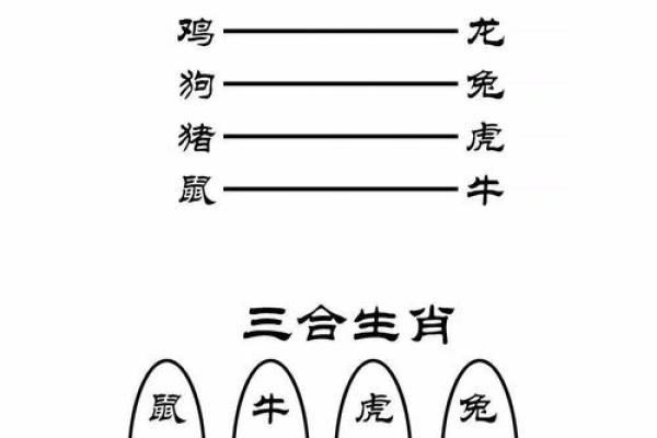 各个属相命理揭秘：你的命运由什么决定？