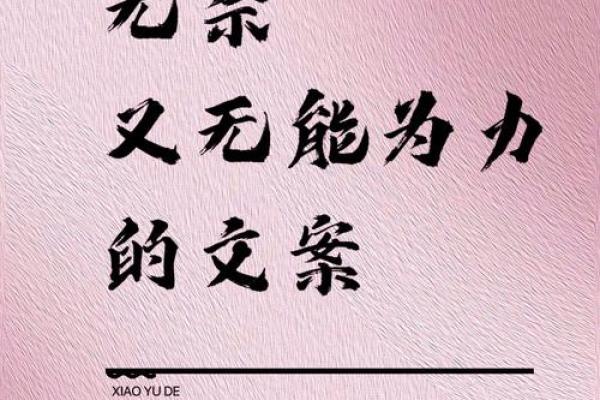 多命换一命：生命的轮回与选择之道