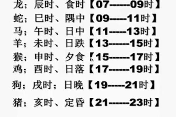分析不同时辰出生的虎命运，揭示命理中的奥秘