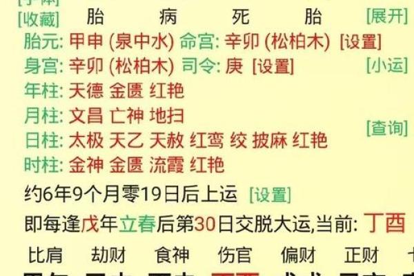 分析不同时辰出生的虎命运，揭示命理中的奥秘