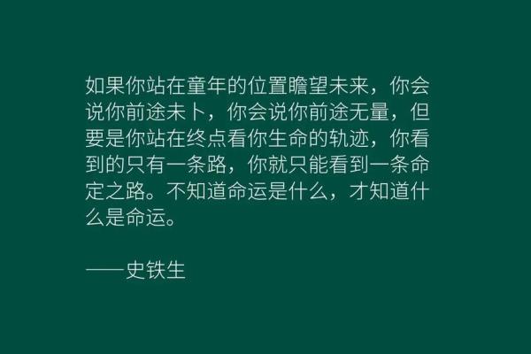 以命换命：命运交织的深邃哲学与现实思考