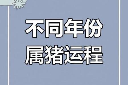 属猪的人是什么星座，命运如何更好？