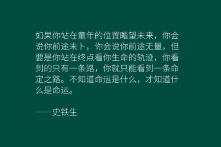 以命换命：命运交织的深邃哲学与现实思考