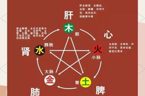 探秘五行命理：揭示土命与火命的奇妙世界
