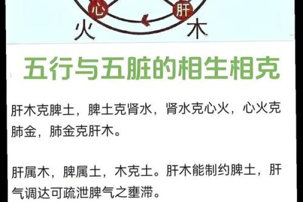 猴子火命的偏旁与五行：相生相克的小秘密