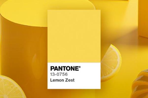 女人水命的色彩：如何选择合适的颜色提升运势