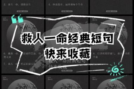 一命与二命：探寻人生的深层含义与选择