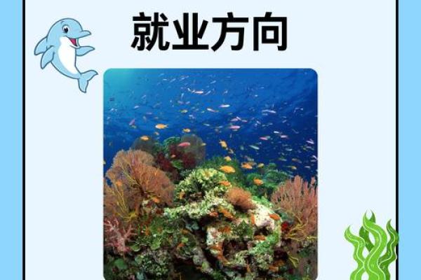 大海水命的人适合从事哪些职业与生活方向？
