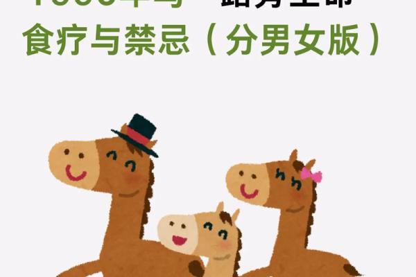 马儿与命理的相性：哪些人最适合与马为伴？