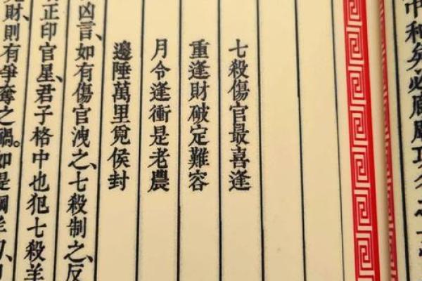 破解胡命之谜：探索命运与人生的深刻联系