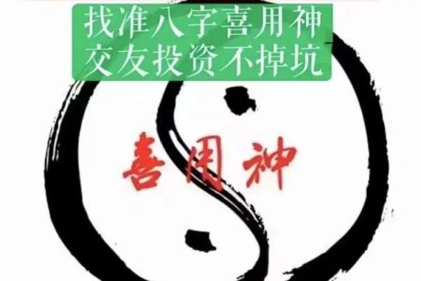 破解胡命之谜：探索命运与人生的深刻联系