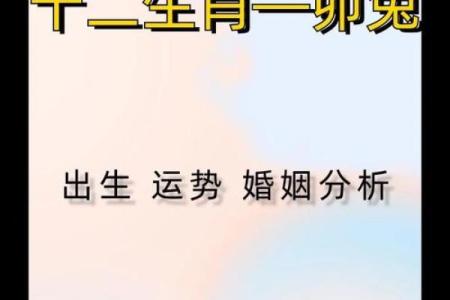 1963年出生属兔，如何借助命理塑造美好人生？