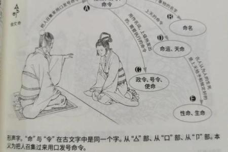 1961年五行命理解析：揭示你的命运与个性特征