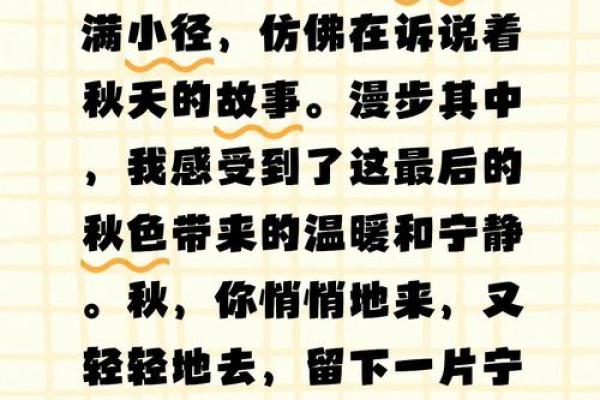 深秋的韵味：探寻11月的万千气息与人文内涵