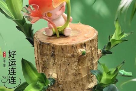 探索81年木命的幸运物与生活助力